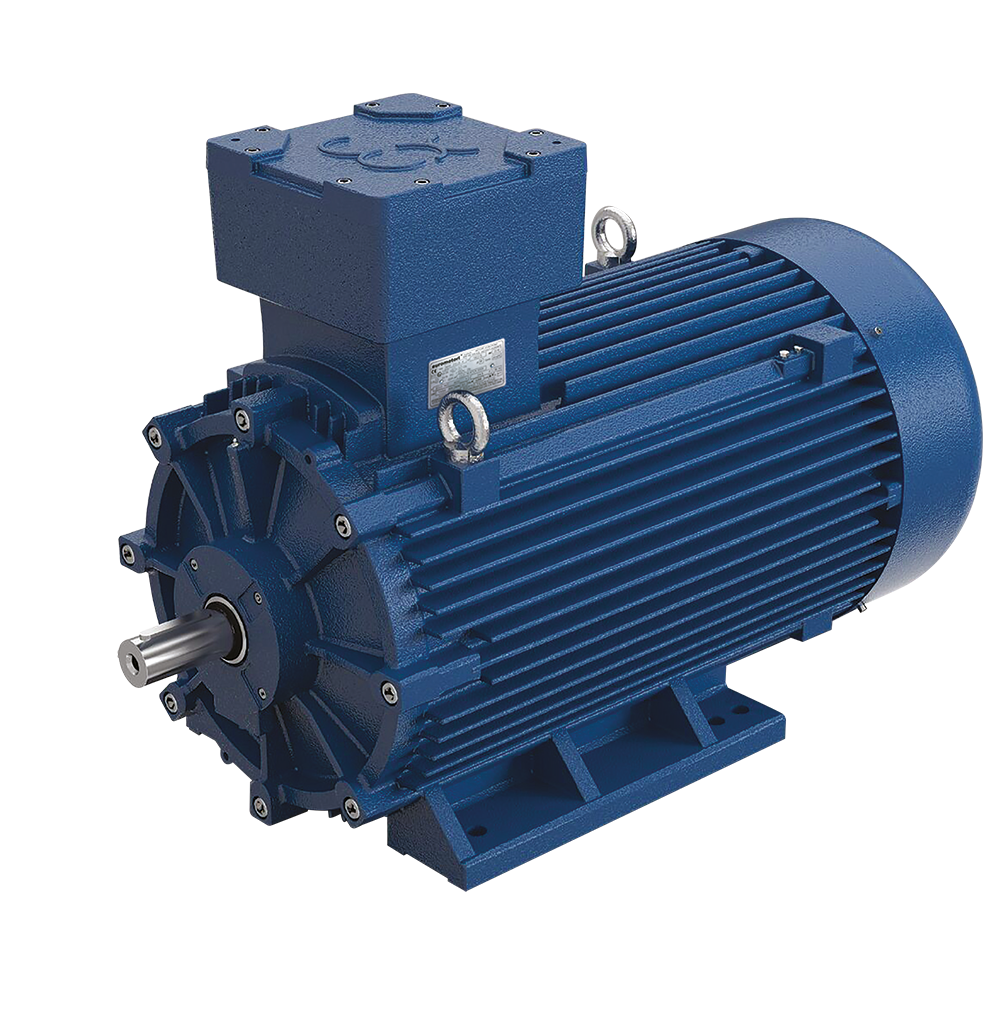nElprom explosieveilige drukvaste ATEX draaistroommotor AS-serie bouwvorm B3 kleur blauw